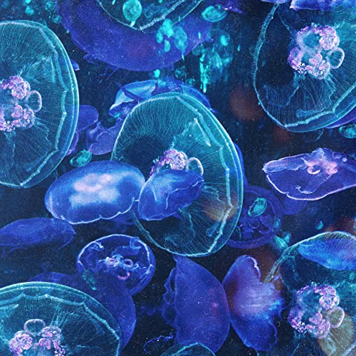 Another Now : Distance